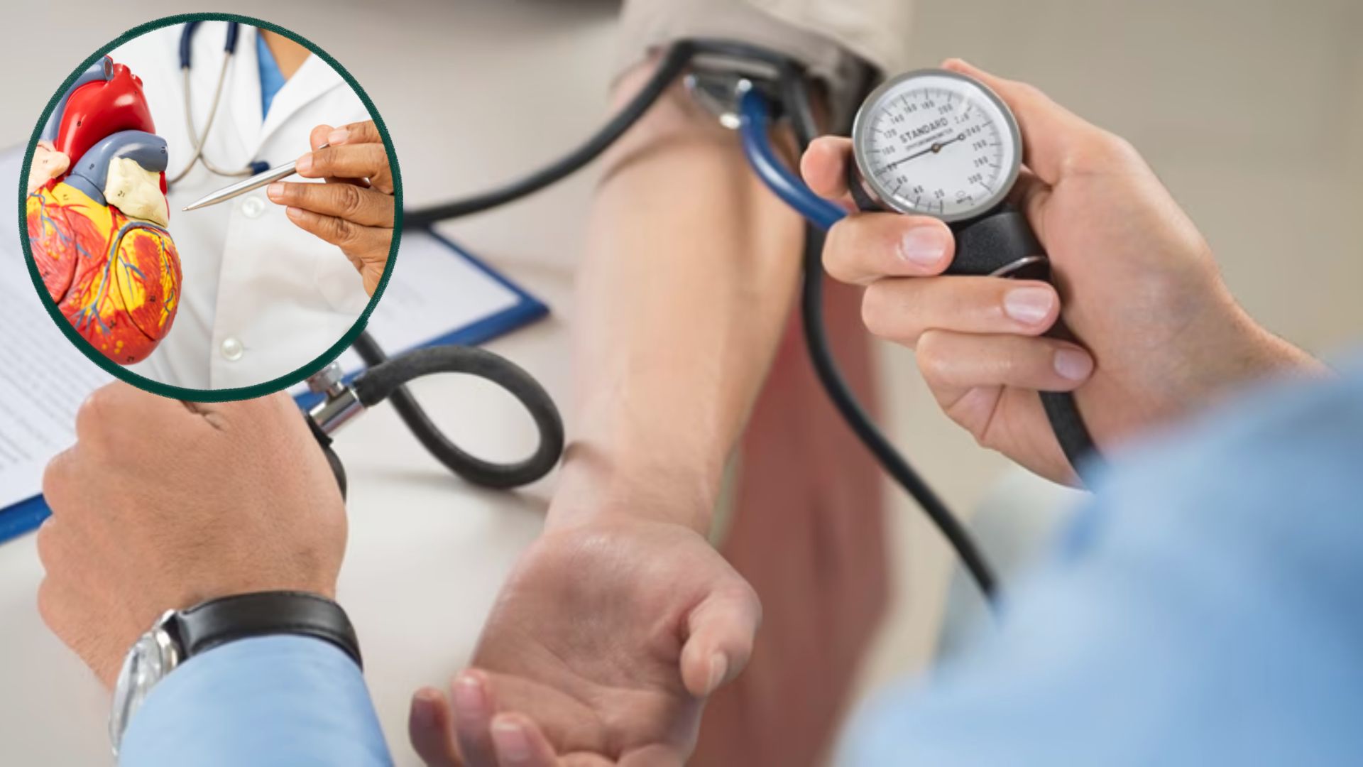 How Cardiology Services Help Manage High Blood Pressure Safely
